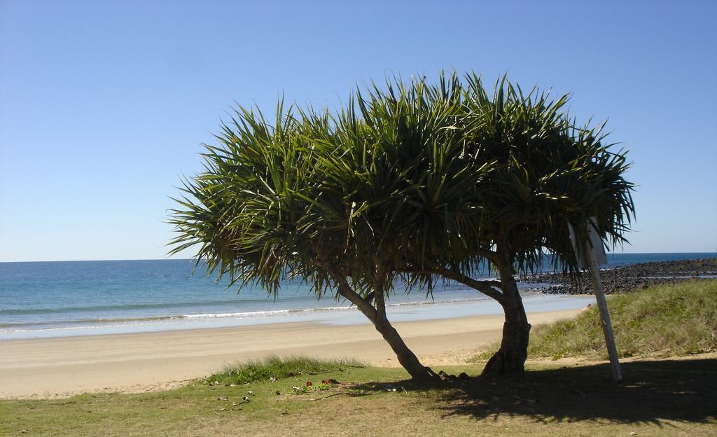 Koola Beach Apartments Bargara Esterno foto